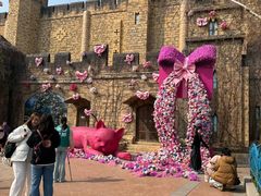 -青岛方特梦幻王国