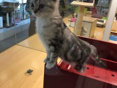 -百盛(莘庄店)