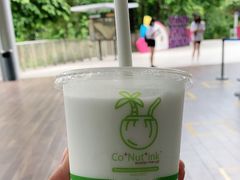 -Co+Nut+Ink(圣淘沙店)