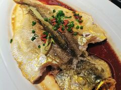 -维园悦谱·海派家常菜(乌鲁木齐南路店)