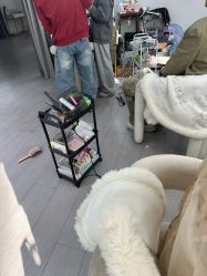-星光兔·西扶海棠·写真馆(景德镇店)
