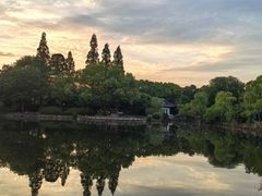 -无锡蠡湖国家湿地公园-蠡园