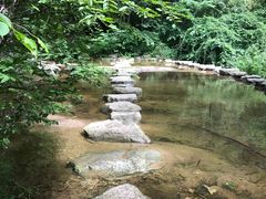 -青峰峡国家森林公园