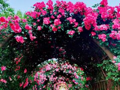 -长春市南湖公园