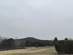-秦始皇帝陵博物院-丽山园