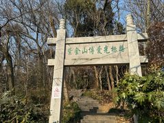 -紫金山山顶公园