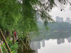 -重庆彩云湖湿地公园