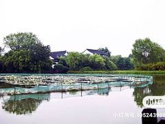 -西溪国家湿地公园