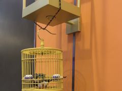 -了凡国风主题茶馆·咖啡(武侯祠锦里店)