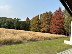 -同里国家湿地公园