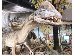 -湖南省地质博物馆