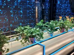 -星璨火吧KTV聚会餐厅(丰庆路店)