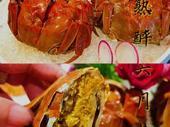 -望乡楼上海菜(日月光店)