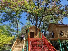 -南宫五洲植物乐园