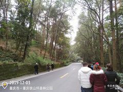 -铁山坪森林公园