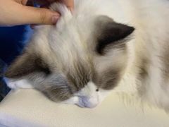 -零纪元VR体验馆·桌游(黄浦店)