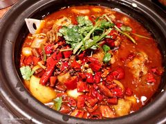 馋嘴肥肠鸡-绿茶餐厅(华联万柳店)