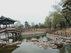 -迎泽公园