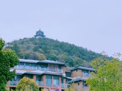 -苏州海洋馆