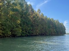 -上海海湾国家森林公园