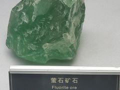 -中国地质大学逸夫博物馆