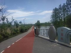 -上海长兴岛郊野公园