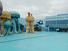 -芜湖新华联大白鲸海洋公园