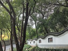 -上海佘山国家森林公园天马山园