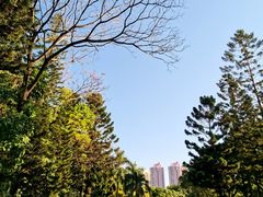 -人民公园(罗湖区)