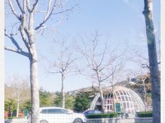 -龙口南山旅游景区