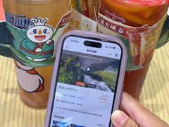 -蜜雪冰城(大智路店)