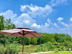 -桤木河湿地公园