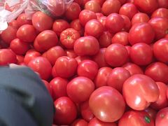 -北京清河镇农副产品交易市场中心