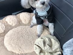 -美联众合24小时·皮肤科·外科·全科诊疗中心(华苑分院)