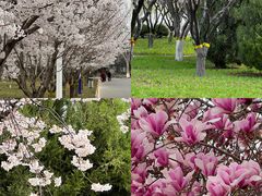 -石家庄市植物园