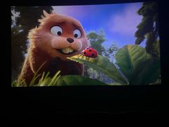 -华谊兄弟影院(IMAX洋桥店)