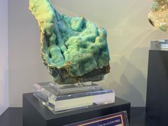 -中国地质大学逸夫博物馆