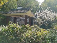 -深圳国际园林花卉博览园