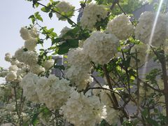 -大龙山(地铁站)