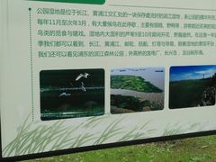 -吴淞炮台湾湿地森林公园烧烤区