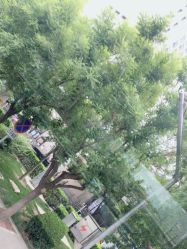 -变画·发型STUDIO