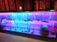 -虾弄弄海派小龙虾·牛羊蝎子火锅