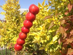 -鄂尔多斯野生动物园