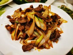 葱爆羊肉-泰丰楼(前门西大街店)