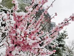 -老爷山风景区