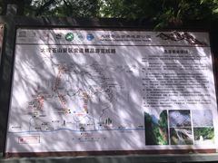 -苍山感通索道