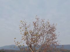 -钟山体育运动公园