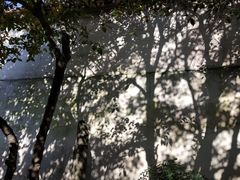-拙政园