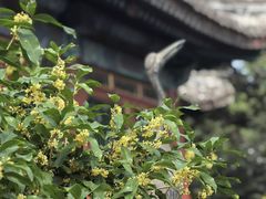 -颐和园