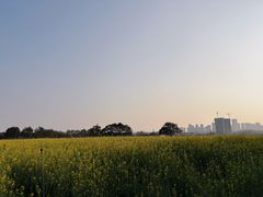 -光明小镇欢乐田园
